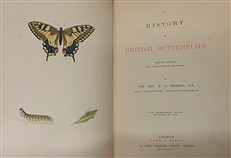 A History of British Butterflies