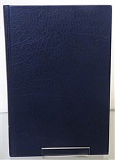 Steel Chariots in the Desert