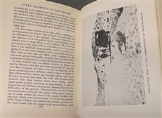 Steel Chariots in the Desert