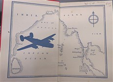 Biggles Delivers the Goods 