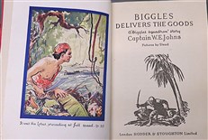 Biggles Delivers the Goods 