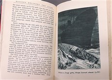 Biggles Delivers the Goods 