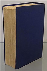 The Cruise Of The Condor