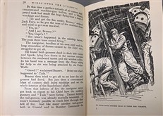 Wings Over the Atlantic