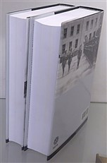 Phoenix A Complete History Of The Luftwaffe 1918-1945 two volumes 