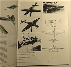 Luftwaffe Secret Projects Ground Attack & Special Purpose Aircraft 