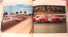 Ferrari 250 GT Competition Cars
