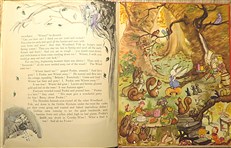 Pookie Puts the World Right 