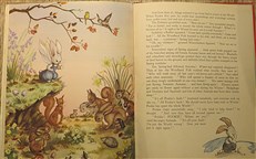 Pookie Puts the World Right 