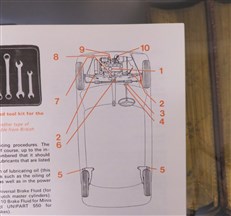 Mini and Mini-Cooper