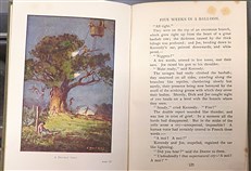 Five Weeks in a Balloon