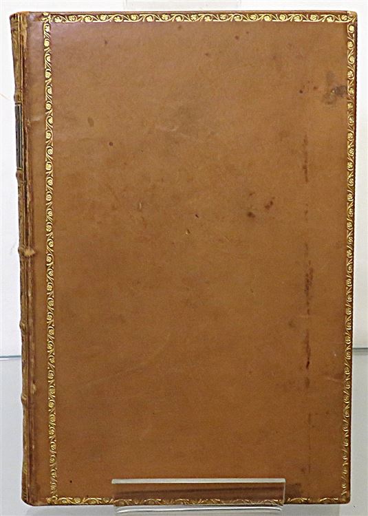 Wonderful Balloon Ascents