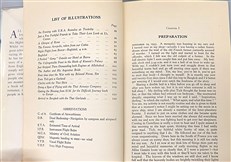 Blue Wings to Bangkok