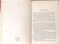 I might have been a success