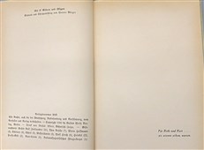 Drei Deutsche Fliegerinnen (Three German Pilots)