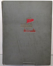 Fight for Leningrad: Pilots