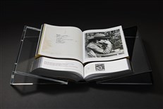 Alejandro Jodorowsky. Art Sin Fin