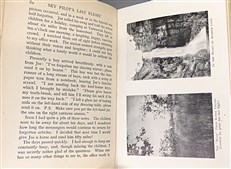 Sky Pilot's Last Flight