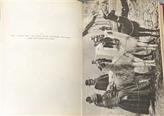 South by Thunderbird