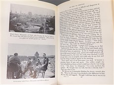 Flanders and Other Fields (Signed)