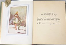 The Book Of The Flower Fairies 