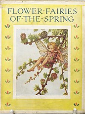 Flower Fairies of the Spring