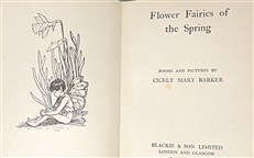 Flower Fairies of the Spring