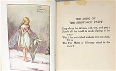 Flower Fairies of the Spring