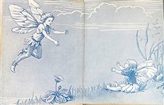 Fairies of the Trees