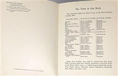 Fairies of the Trees