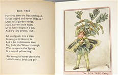 Fairies of the Trees