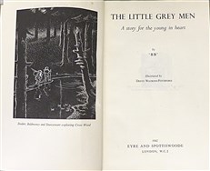 The Little Grey Men