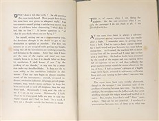 The Essays of an Aviator