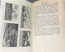 The Conquest of the Air