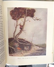 Down The Bright Stream 