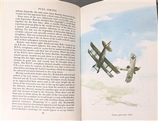 Full Circle: The Story of Air Fighting