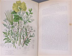 The Flowering Plants of Great Britain (4 Volumes)