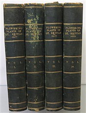 The Flowering Plants of Great Britain (4 Volumes)