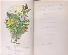 The Flowering Plants of Great Britain (4 Volumes)