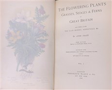 The Flowering Plants of Great Britain (4 Volumes)