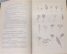 The Flowering Plants of Great Britain (4 Volumes)