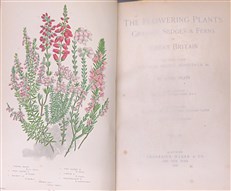The Flowering Plants of Great Britain (4 Volumes)