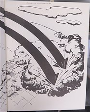 as briefed...a family history of the 384th Bombardment Group 