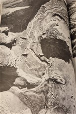 Flights Over Ancient Cities of Iran