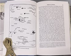 Sigh For A Merlin Signed