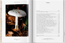 The Gourmand's Mushroom