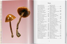 The Gourmand's Mushroom