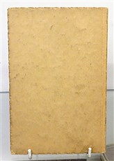 Sopwith Aeroplanes in the Great War