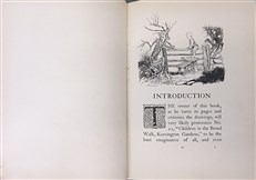 Arthur Rackham's Book of Pictures