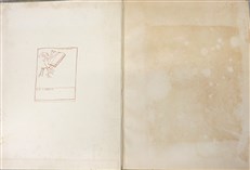 Arthur Rackham's Book of Pictures